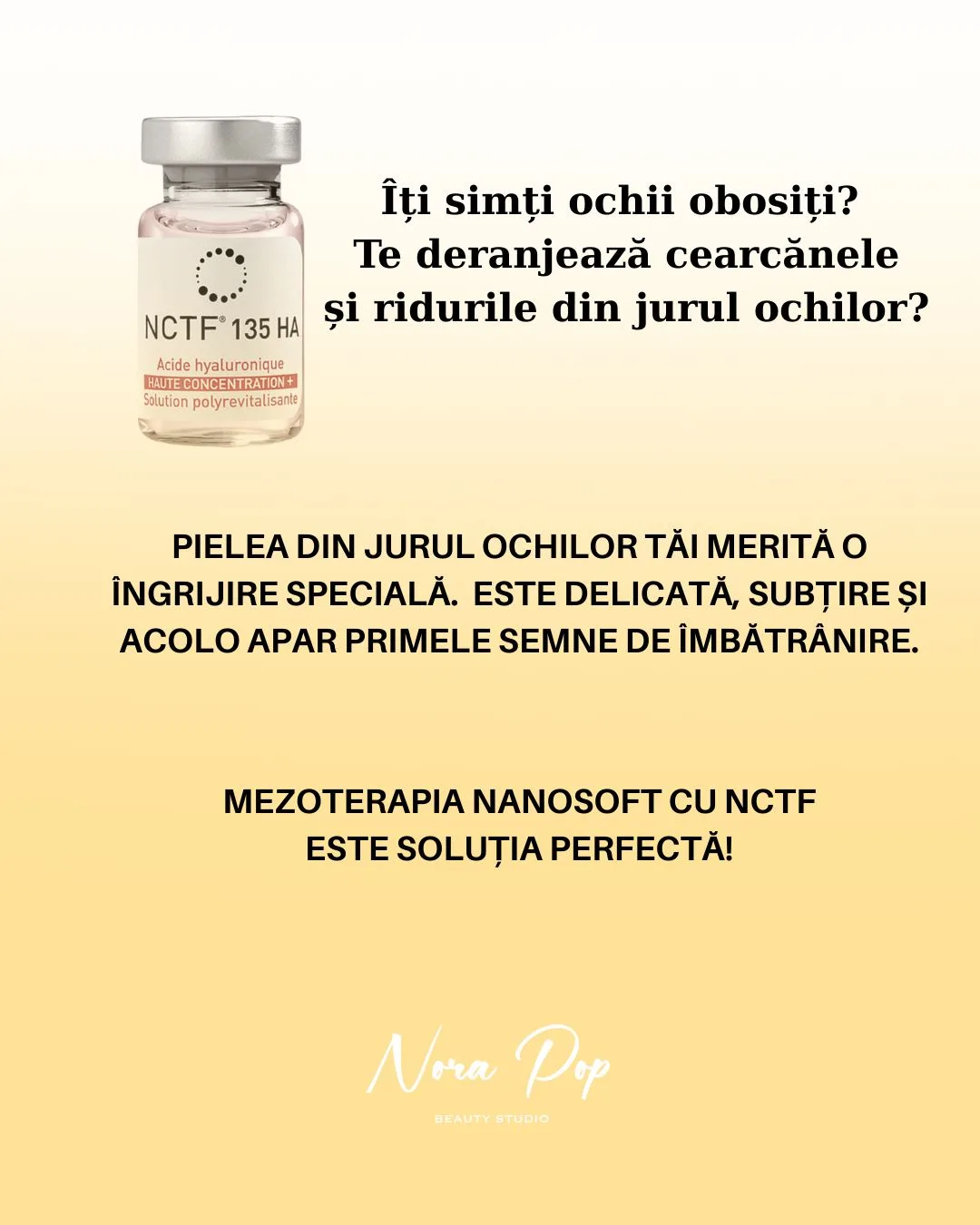 NanoSoft Nora Pop 2 Oradea