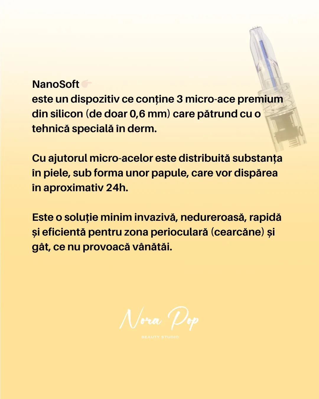 NanoSoft Nora Pop 3 Oradea